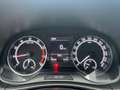 Skoda Fabia 1.0 TSI 95 ch BVM5 Drive 125 ans Gris - thumbnail 16