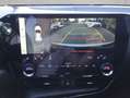 Lexus NX350h 4x4 Luxury Line + Panorama Modell2026 Weiß - thumbnail 10