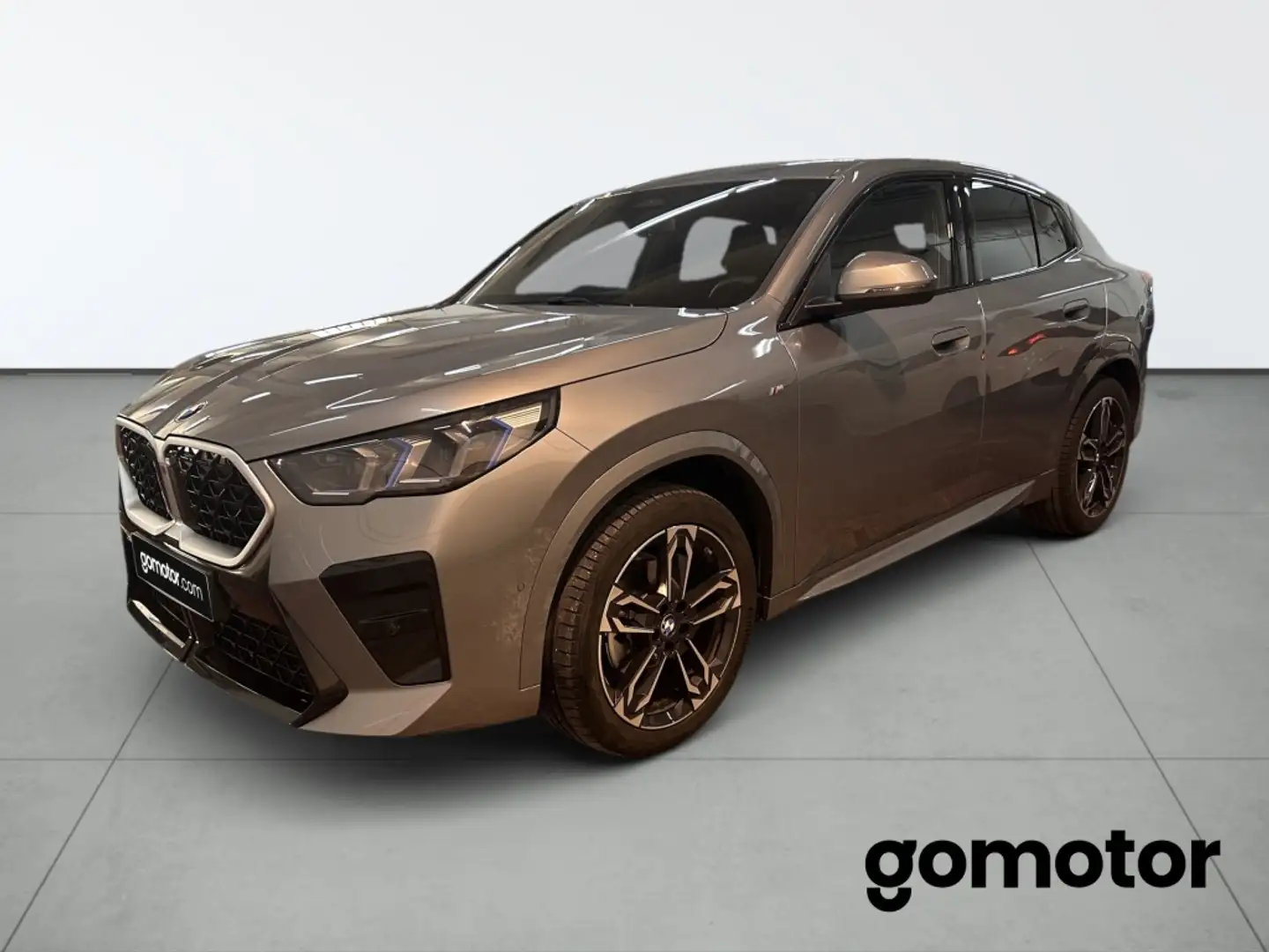 BMW X2 xDrive 20dA - 1
