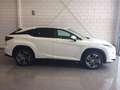 Lexus RX 450h RX 450h Business Business Blanco - thumbnail 1