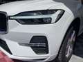 Volvo XC60 B4 (d) AWD automatico Momentum Sport Utility Bianco - thumbnail 23