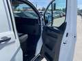 Ford Transit Custom Kasten 2,0 L1H1 280 Trend Alb - thumbnail 7