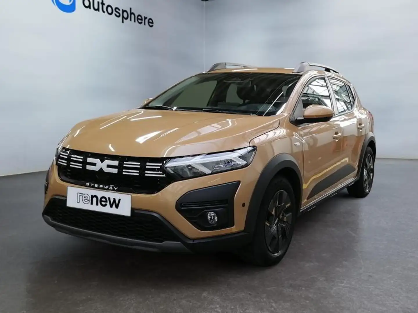 dacia stepway