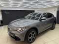 Alfa Romeo Stelvio Stelvio 2.2 t Super rwd 190cv auto my19 Grau - thumbnail 1