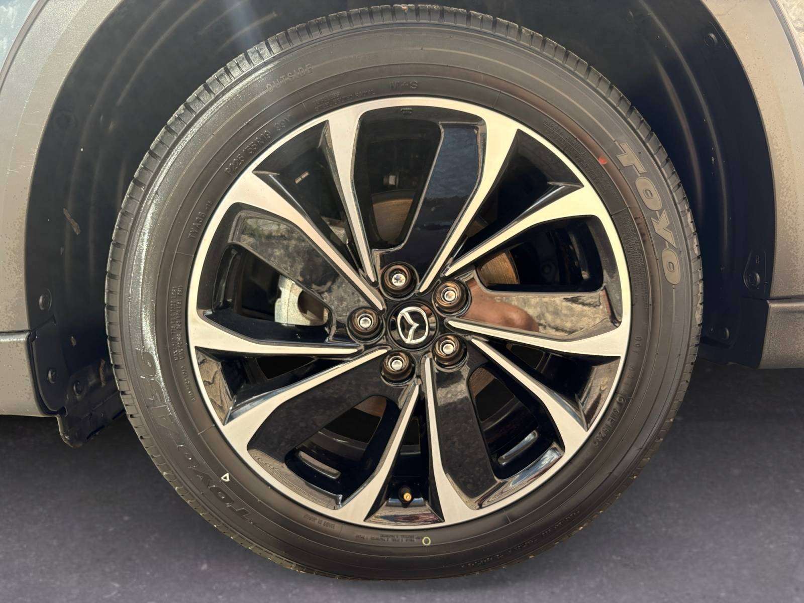 Image 5