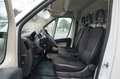 Peugeot Boxer Kasten L3H2 BlueHDi 130 Weiß - thumbnail 13
