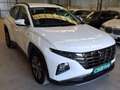 Hyundai TUCSON 1.6 TGDI 110kW 150CV 48V Maxx - thumbnail 4