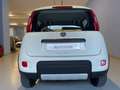 Fiat Panda 0.9 T.AIR 4x4 OK NEOPATENTATI Weiß - thumbnail 6