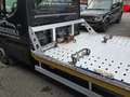 Iveco Daily / Takelwagen / Oprijwagen / 3.0L 170pk Nero - thumbnail 8