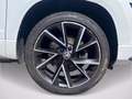 Skoda Karoq 2.0 TDI SCR 4x4 DSG Ambition Blanco - thumbnail 6