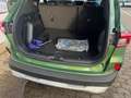 Ford Kuga Plug-In-Hybrid Active X (mit AHK bis 2.100 KG) Grün - thumbnail 4