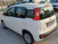 Fiat Panda - thumbnail 5