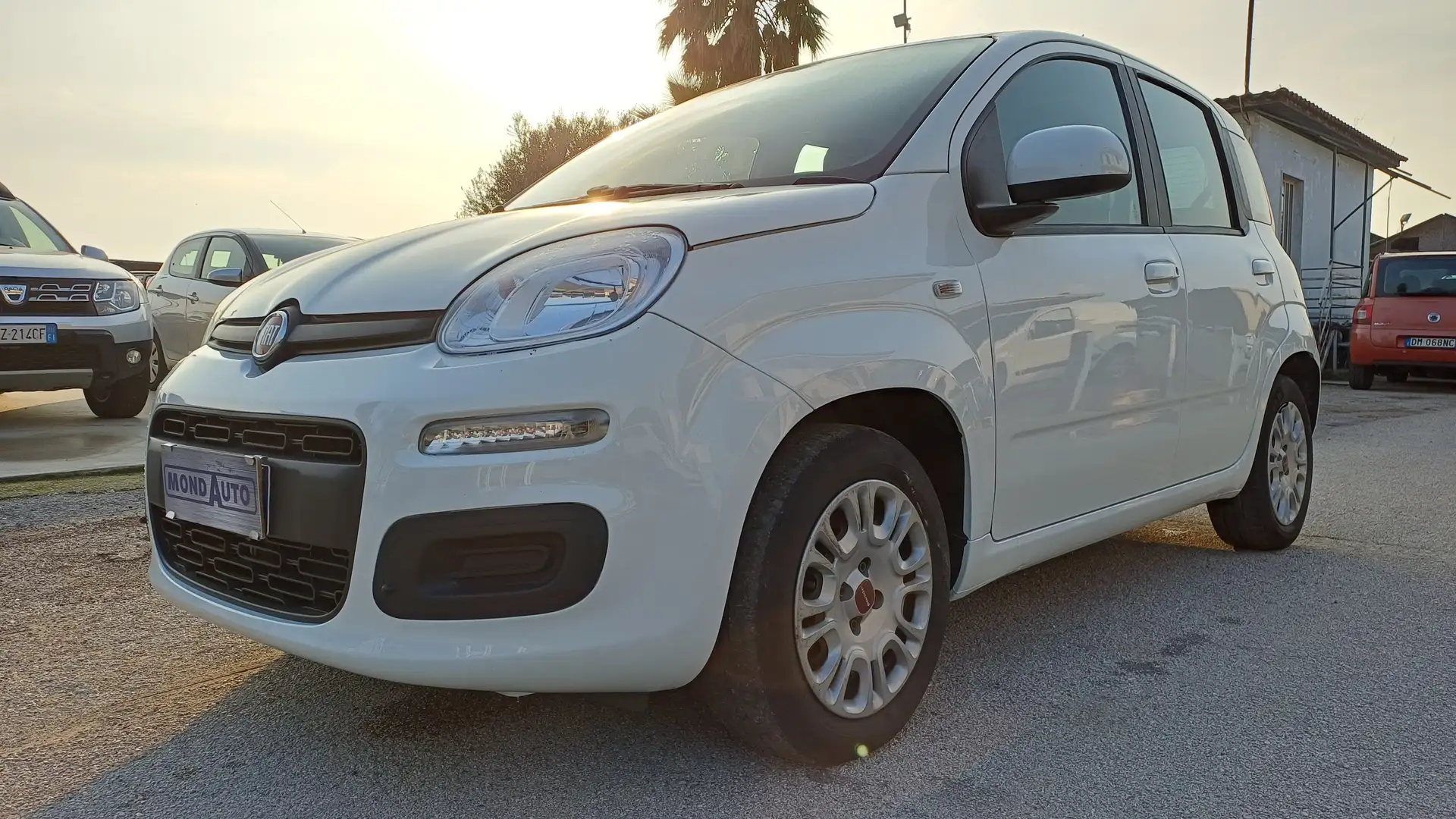 Fiat Panda - 1