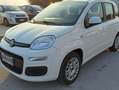 Fiat Panda - thumbnail 2