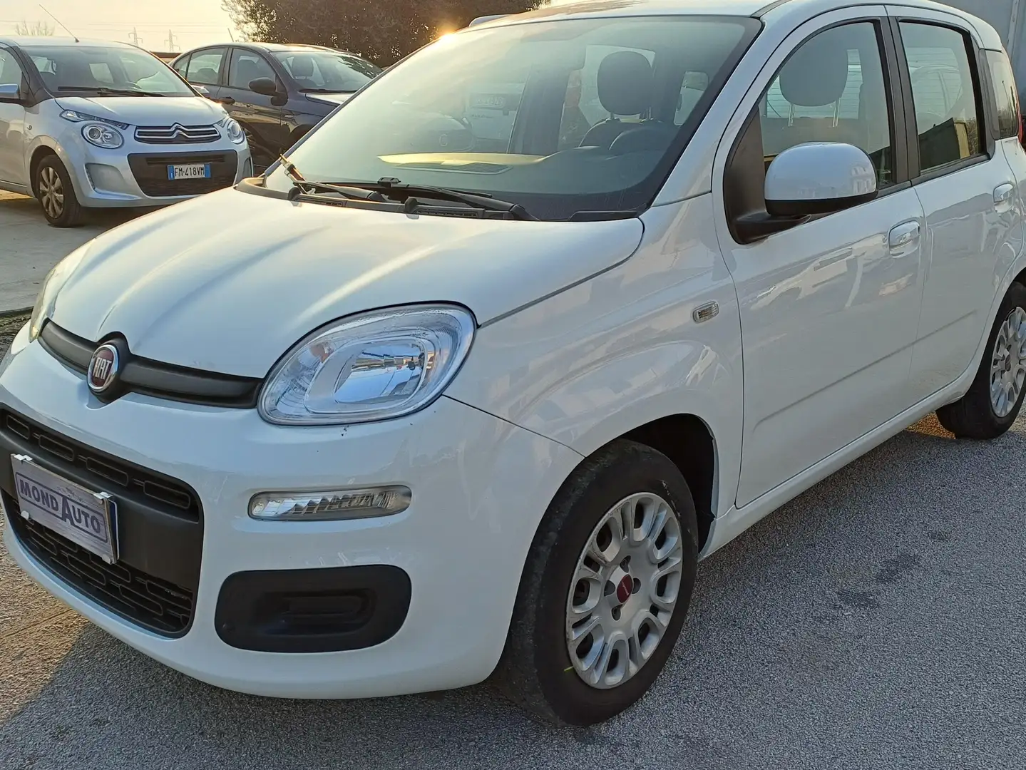 Fiat Panda - 2