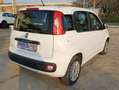 Fiat Panda - thumbnail 27