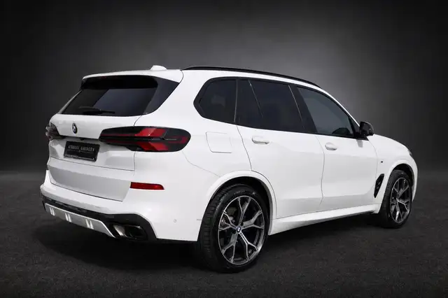 BMW X5 X5 view 7