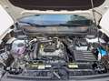 Volkswagen T-Cross 1.0 tsi edition plus 95cv Bianco - thumbnail 10