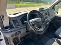 Ford Transit 350 2.0TDCi EcoBlue 170CV PL-TM Furgone Trend Bianco - thumbnail 10