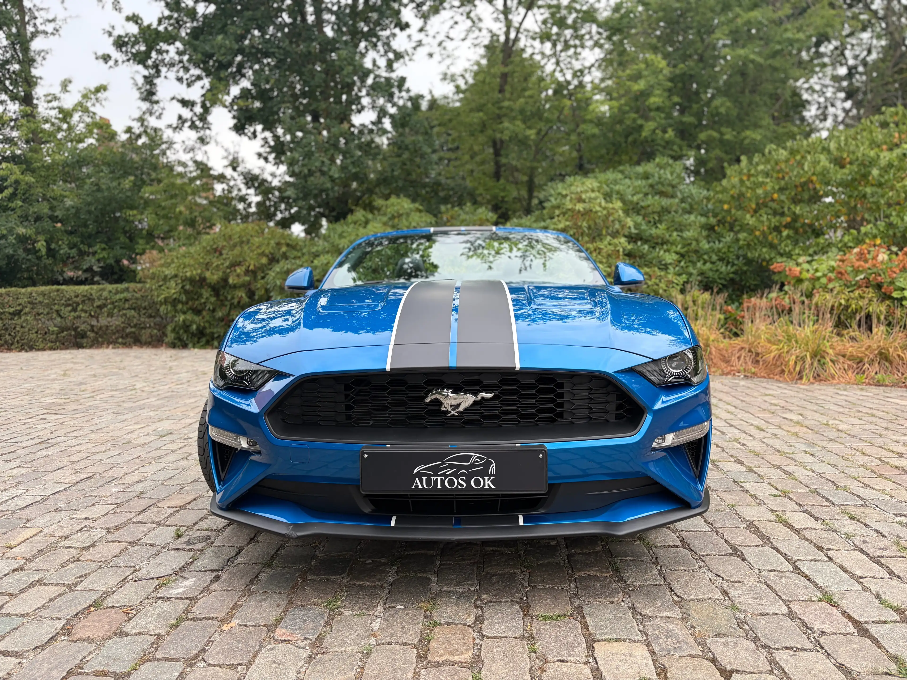 Ford Mustang Cabrio 2.3 EcoBoost Automaat ### 34000 ### — photo 2