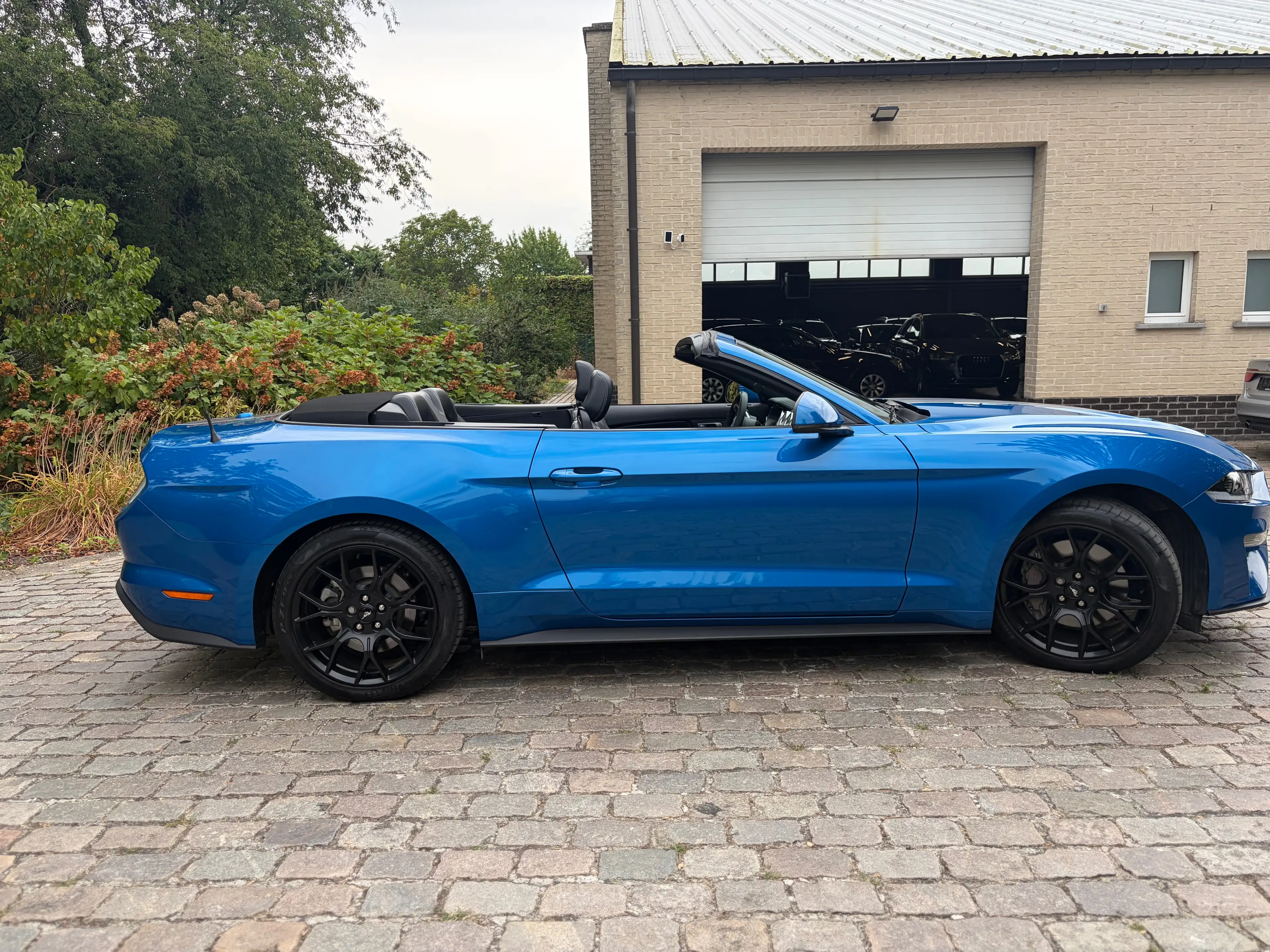 Ford Mustang Cabrio 2.3 EcoBoost Automaat ### 34000 ### — photo 4