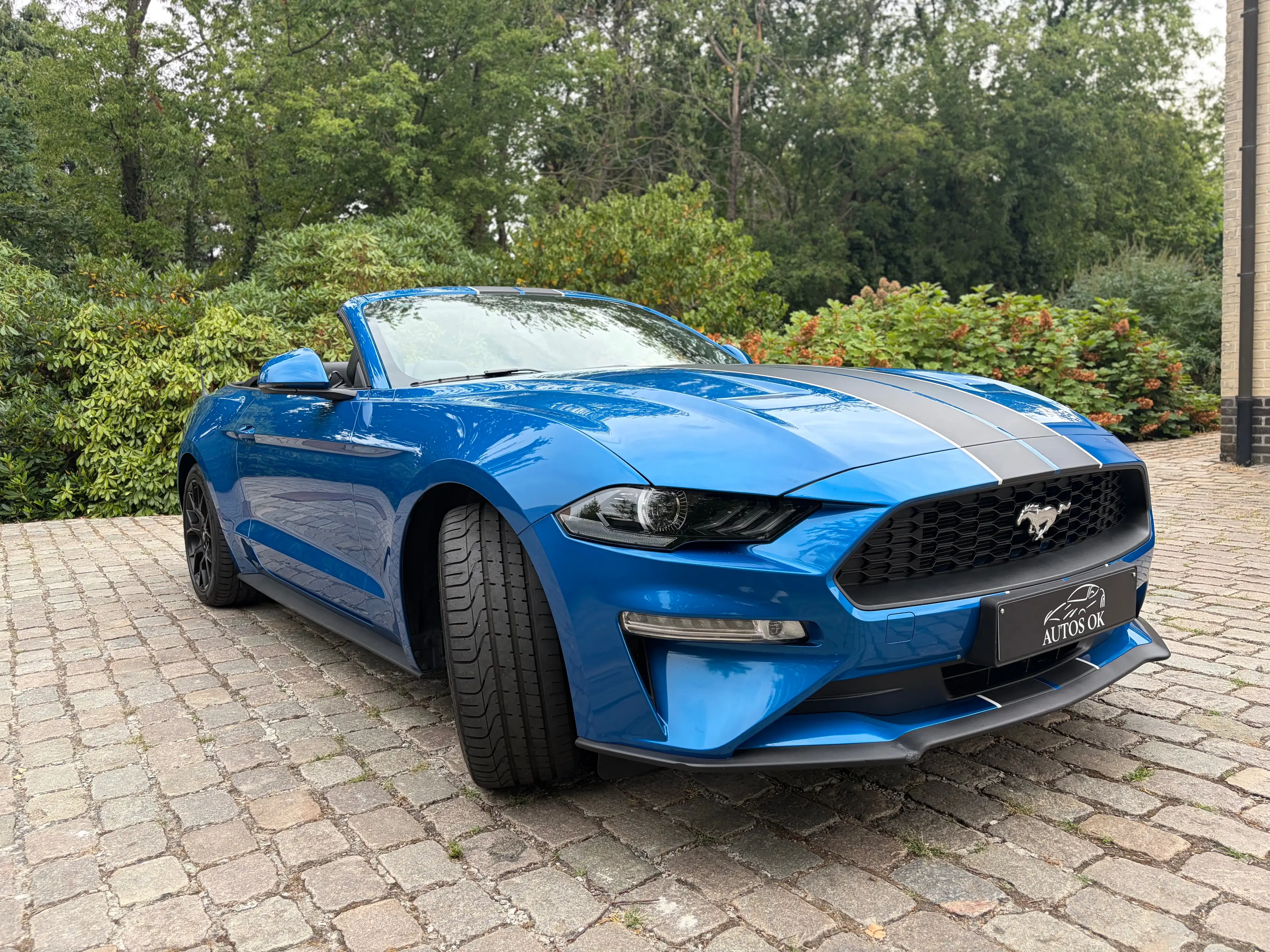 Ford Mustang Cabrio 2.3 EcoBoost Automaat ### 34000 ### — photo 3