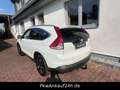 Honda CR-V Lifestyle 2WD Weiß - thumbnail 7