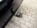 BMW 320 e Schwarz - thumbnail 11