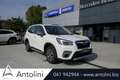 Subaru Forester 2.0 e-Boxer MHEV CVT Lineartronic Free Weiß - thumbnail 2