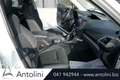 Subaru Forester 2.0 e-Boxer MHEV CVT Lineartronic Free Weiß - thumbnail 17
