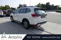 Subaru Forester 2.0 e-Boxer MHEV CVT Lineartronic Free Weiß - thumbnail 6