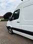 Mercedes-Benz Sprinter 313 CDI Sprinter 906.631 EEV Blanc - thumbnail 13