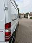 Mercedes-Benz Sprinter 313 CDI Sprinter 906.631 EEV Blanc - thumbnail 9