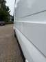 Mercedes-Benz Sprinter 313 CDI Sprinter 906.631 EEV Blanc - thumbnail 12