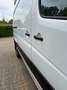 Mercedes-Benz Sprinter 313 CDI Sprinter 906.631 EEV Blanc - thumbnail 8