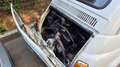 Fiat 500 Bianco - thumbnail 4