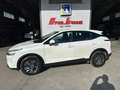 Nissan Qashqai Qashqai 1.3 mhev Business xtronic PREZZO PROMO Bianco - thumbnail 2