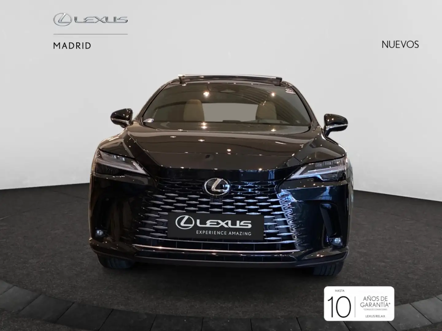 Lexus RX 450h 450h+ Executive Negro - 1