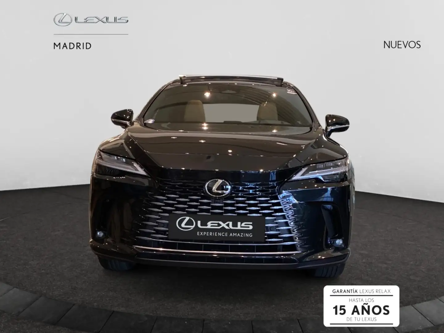 Lexus RX 450h 450h+ Executive Negro - 1