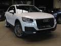 Audi Q2 30TFSI Design *NAVI-PARKING AR-CRUISE* Blanc - thumbnail 2