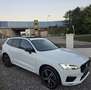 Volvo XC60 XC60 B5 R-Design AWD Geartronic Weiß - thumbnail 2