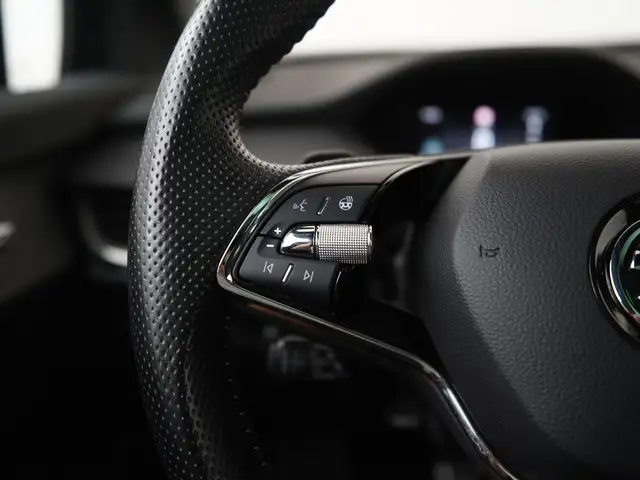 Skoda Enyaq view 8