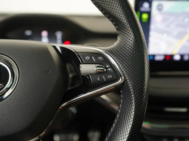 Skoda Enyaq view 10