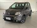 Fiat Panda Panda 1.0 FireFly Hybrid City Life IVA ESPOSTA Grigio - thumbnail 1