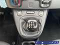 Fiat Panda 1.0 Mild Hybrid Cross City DAB Klima teilb.Rücksb Schwarz - thumbnail 13