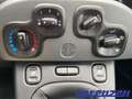 Fiat Panda 1.0 Mild Hybrid Cross City DAB Klima teilb.Rücksb Schwarz - thumbnail 15