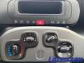 Fiat Panda 1.0 Mild Hybrid Cross City DAB Klima teilb.Rücksb Schwarz - thumbnail 18