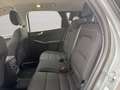 Ford Kuga 2.0 EcoBlue Hybrid 150 CV 2WD Titanium Business Grigio - thumbnail 10