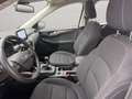 Ford Kuga 2.0 EcoBlue Hybrid 150 CV 2WD Titanium Business Grigio - thumbnail 9