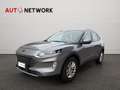 Ford Kuga 2.0 EcoBlue Hybrid 150 CV 2WD Titanium Business Grigio - thumbnail 2
